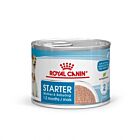 Royal Canin Size Health Nutrition Starter Mother & Babydog mousse 12 x 195 g