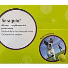 Seraquin Chien