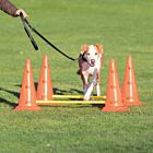 Trixie Obstacles set 2 pcs - La Compagnie des Animaux
