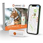 Weenect XS traceur GPS pour chat