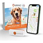 Weenect XS traceur GPS pour chien blanc