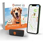 Weenect XS traceur GPS pour chien noir