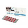 Uripac 5 mg 15 cps- La Compagnie des Animaux