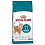 Royal Canin Féline Ageing 11+ Sterilised 4 kg
