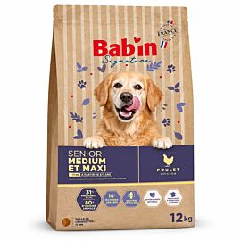 Bab'in Signature Chien Medium et Maxi Senior
