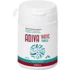 VetNova Adiva Biotic Polvere Probiotica 30 g