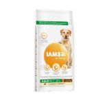 IAMS Vitality crocchette al Pollo cane adulto taglia grande 12 kg