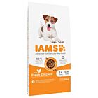 IAMS Advanced Nutrition Chien adulte S/M Poulet 12 kg