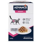 Advance Veterinary Diets Gatto Urinary 12 x 85 g