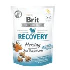 Brit Care Dog Functional Snack Recovery au Hareng 150 g