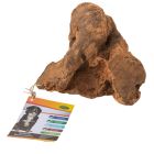 Bubimex Radice da masticare 300-500 g