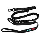 Cani Gear Longe Intensia pour chien 1.9 m