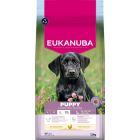 Eukanuba Growing Puppy Large Breed con Pollo 12 kg
