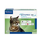 Effipro Duo Chat 1-6 kg 4 pipettes