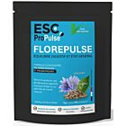 ESC Laboratoire Florepulse Cheval 1 kg

