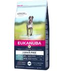 Croquettes Eukanuba sans céréales au poisson pour chien adultes de grande taille