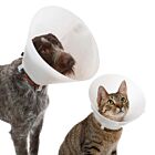 Collare Elisabetta classico per cani e gatti - 10 cm