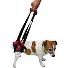 Harnais Handy Canis pour chien paralysé