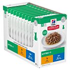 Hill's Science Plan Feline Kitten Healthy Development Pack Mixte