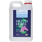 Hilton Herbs Shake No More Gold cheval 3 L


