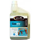 Horse Master Gastrix Flacon 946 ml