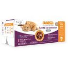 IAMS Advanced Nutrition Multipack "Terre & Mer" en gelée Chat 48 x 85 g