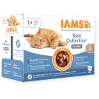 IAMS Advanced Nutrition Multipack "Mer" en gelée Chat 12 x 85 grs
