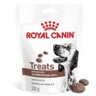 Royal Canin Vet Cane Gastrointestinal Treats 230 g