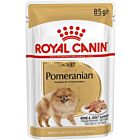 Royal Canin Breed Pomeranian Adult mousse 12 x 85 g