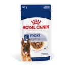 Royal Canin Maxi Ageing + di 5 anni 10 x 140 g
