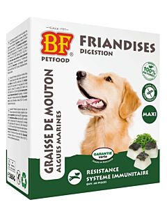 Biofood Bonbons Digestion aux Algues Marine Chien Maxi