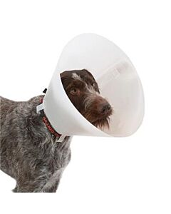 Collare Elisabetta classico per cani e gatti - 20 cm