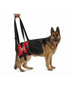 Harnais Handy Canis pour chien paralysé