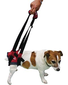 Harnais Handy Canis pour chien paralysé