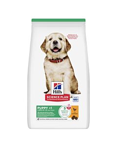 Hill's Science Plan Canine Puppy Large al pollo 16 kg