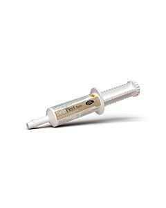 Horse Master Dolophyt Flash confort locomoteur seringue orale 30 ml