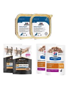 Pack Chat Insuffisant Renal