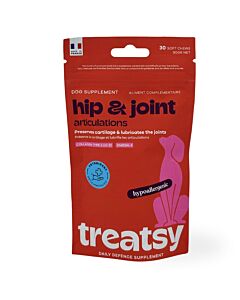 Treatsy Daily Defence Articulations pour chien 90 g