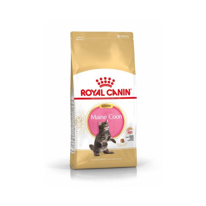 Royal canin maine coon kitten 10kg sales