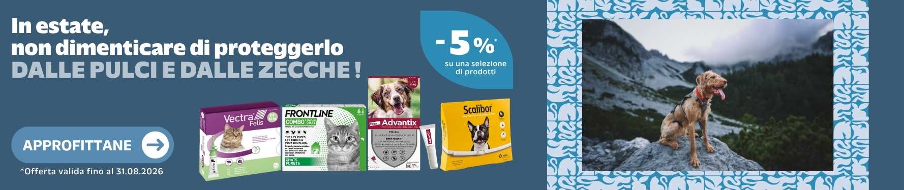 In estate,  non dimenticare di proteggerlo  dalle pulci e dalle zecche ! -5%