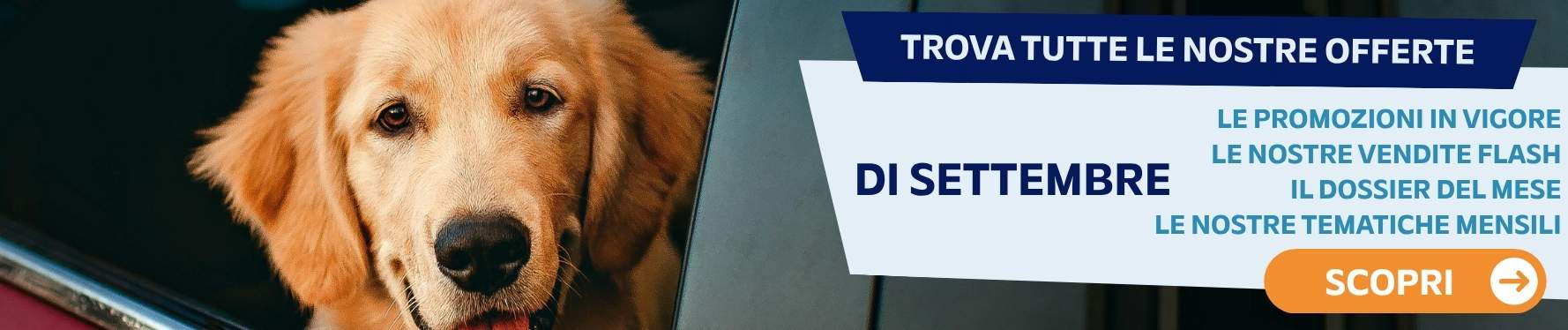 Trova tutte le nostre offerte di settembre