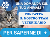 newsletter consigli veterinari