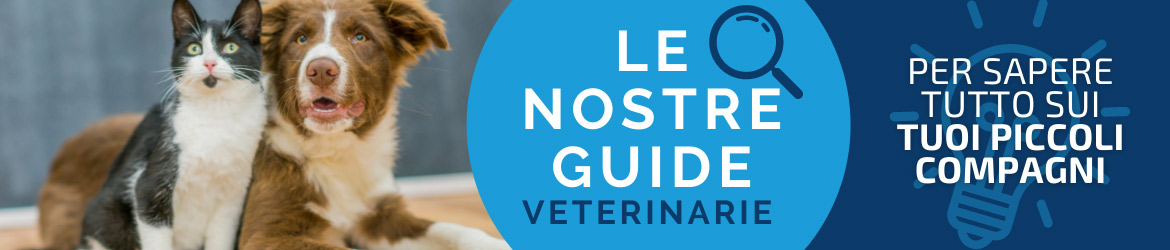 Guide Veterinari Dogtore