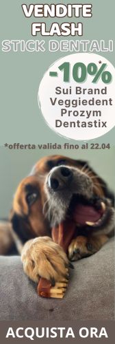 Vendite Flash Stick Dentali | Dal 18/04 al 22/04