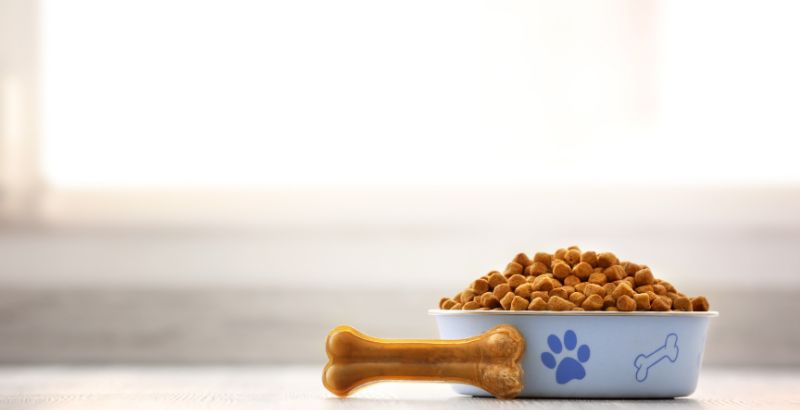 La razione può contenere proteine allergeniche per il tuo cane.