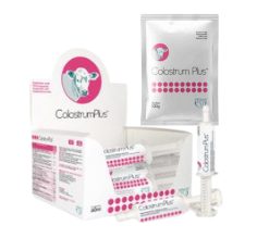 Colostrum Plus