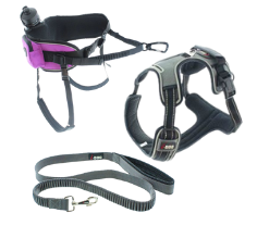 I-Dog