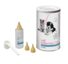 Lait Maternisé