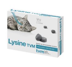 Lysine