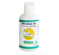 Minéral TS